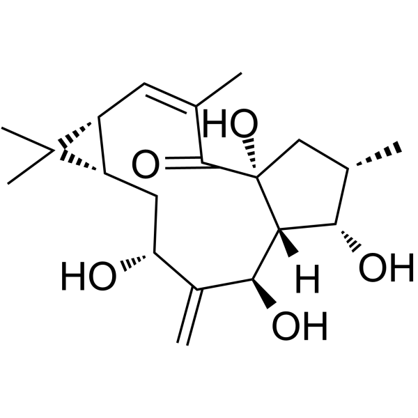 7<em>beta</em>-Hydroxylathyrol