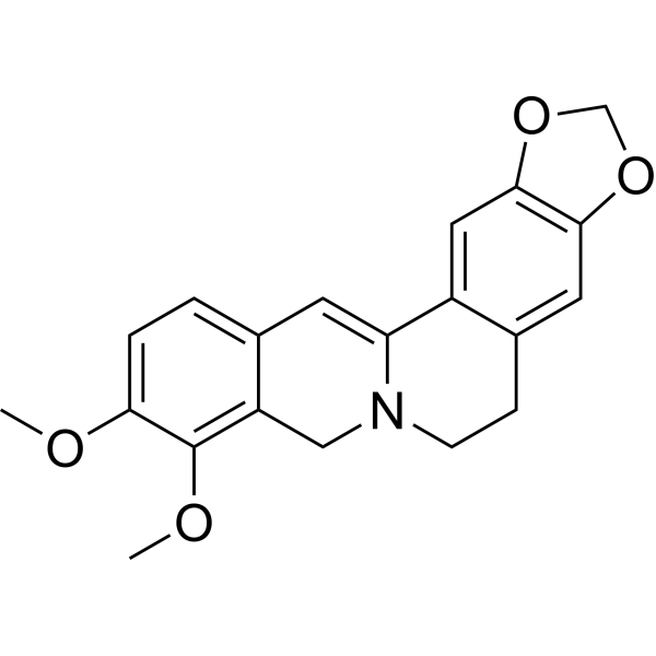 Dihydroberberine Chemical Structure