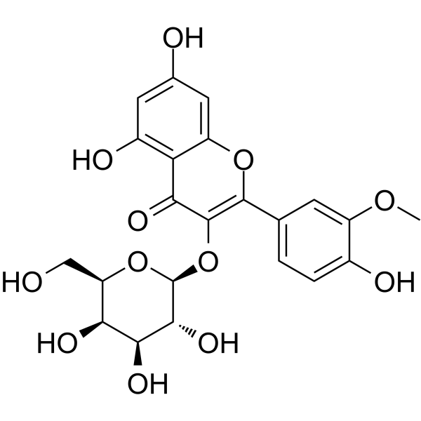 <em>Isorhamnetin</em> 3-O-galactoside