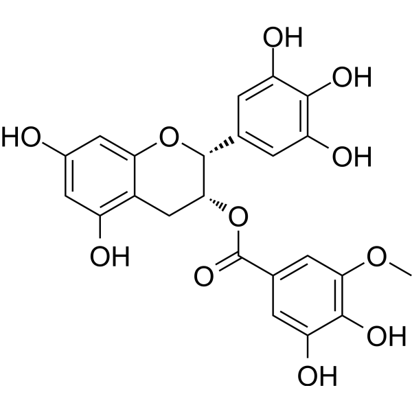 (-)-Epigallocatechin-<em>3</em>-(<em>3</em>''-O-methyl) <em>gallate</em>