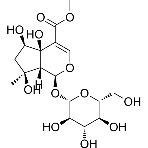 6<em>β</em>-Hydroxyipolamiide