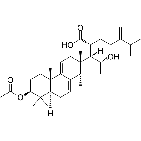 Dehydropachymic acid Chemical Structure