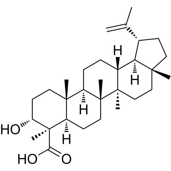 Lupeolic acid Chemical Structure