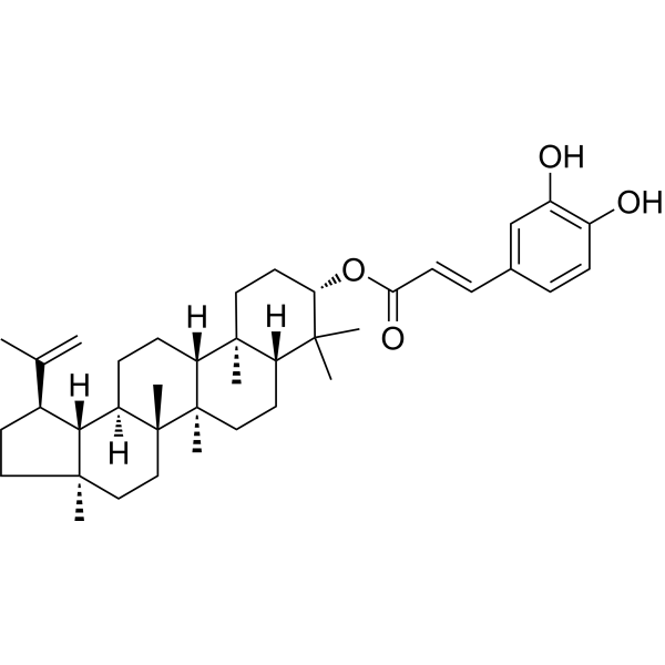 Caffeoxylupeol Chemical Structure