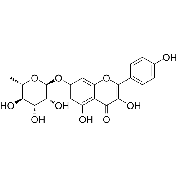 Kaempferol-7-O-rhamnoside Chemical Structure