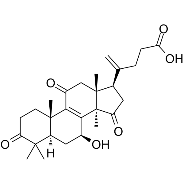 20(21)-Dehydrolucidenic acid A Chemical Structure