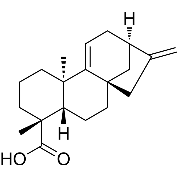 Grandiflorenic acid Chemical Structure
