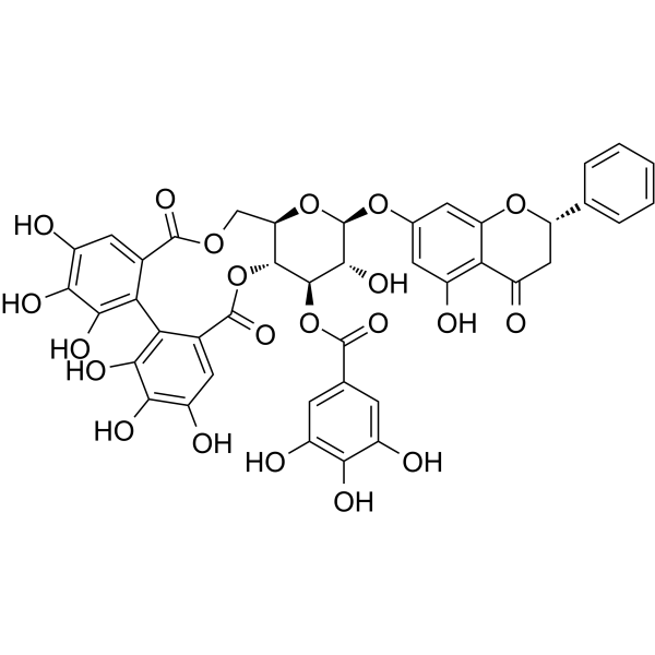 Pinocembrin 7-<em>O</em>-[3''-<em>O</em>-galloyl-4'',6''-hexahydroxydiphenoyl]-β-D-glucoside
