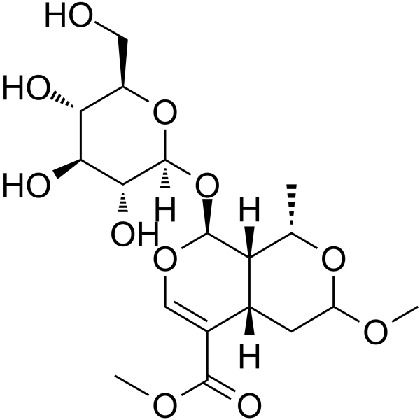 7-O-<em>Methyl</em> morroniside