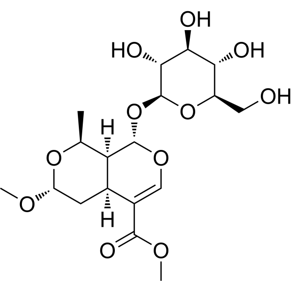7<em>β</em>-O-Methylmorroniside
