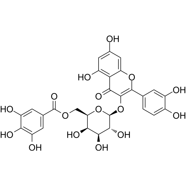 Quercetin 3-O-(6''-galloyl)-β-D-galactopyranoside