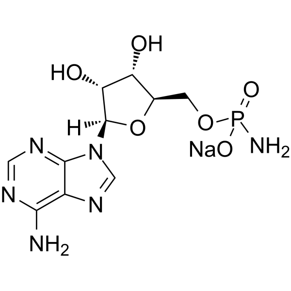 <em>Adenosine 5</em>′-monophosphoramidate sodium