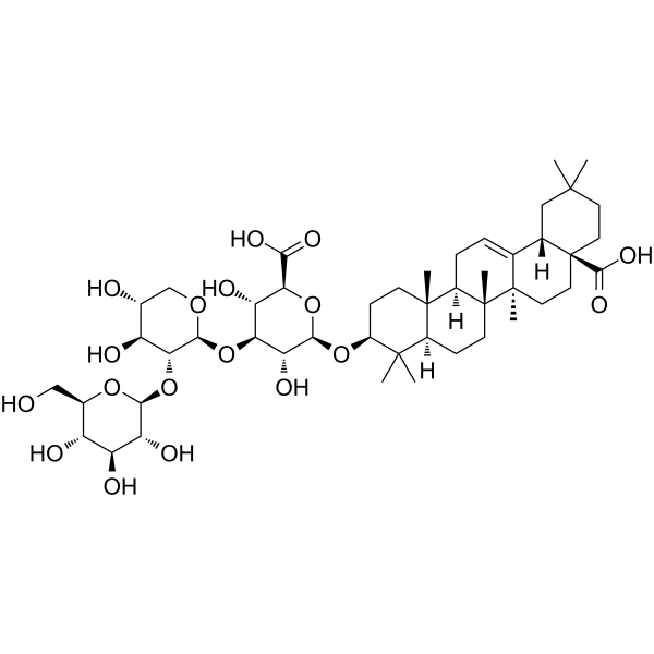 Oleanolic acid-<em>3</em>-O-glucosyl(<em>1</em>-2)xylyl(<em>1</em>-<em>3</em>)glucosiduronic acid