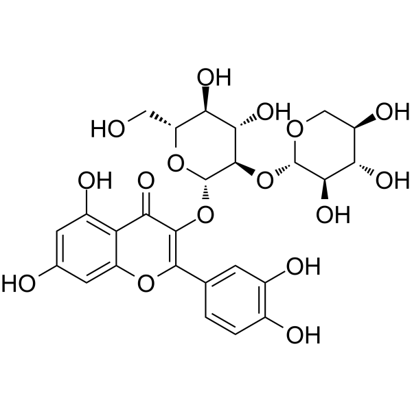 Quercetin 3-O-sambubioside