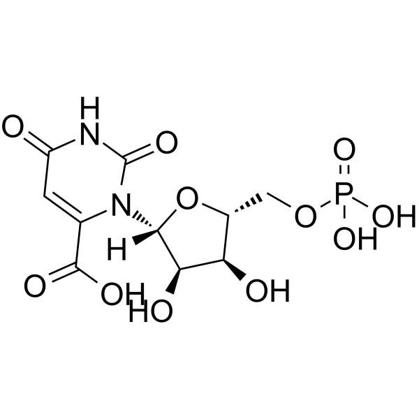 Orotidine 5′-<em>monophosphate</em>