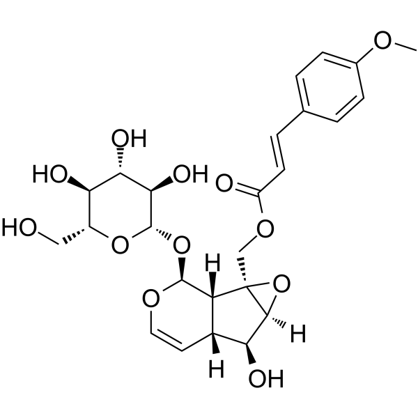 10-<em>O</em>-Trans-p-methoxycinnamoylcatalpol