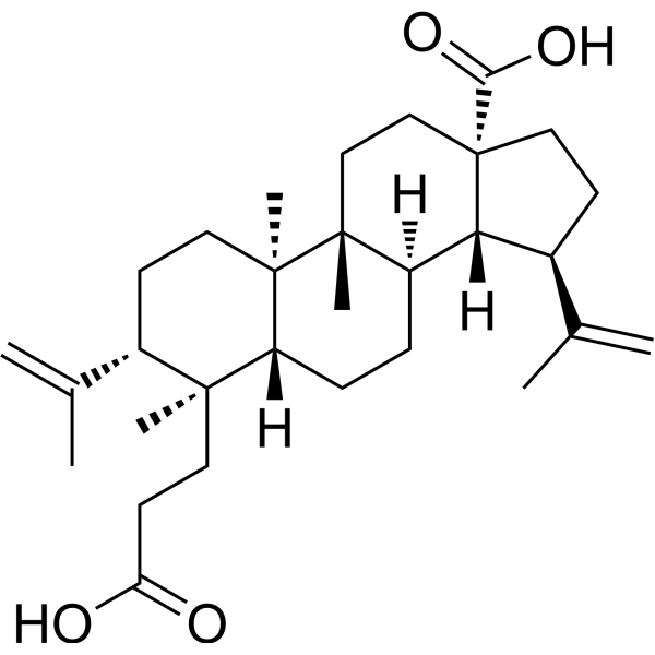 3,4-Seco-4(23),20(29)-lupadiene-3,28-dioic acid Chemical Structure