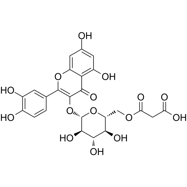 Quercetin 3-O-(6''-O-malonyl)-β-D-glucoside Chemical Structure