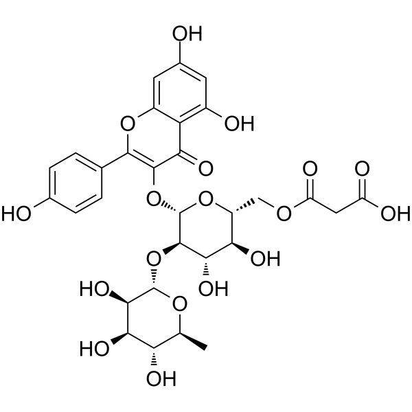 Kaempferol 3-<em>O</em>-(2′′-<em>O</em>-α-rhamnosyl-6′′-<em>O</em>-malonyl-β-glucoside)