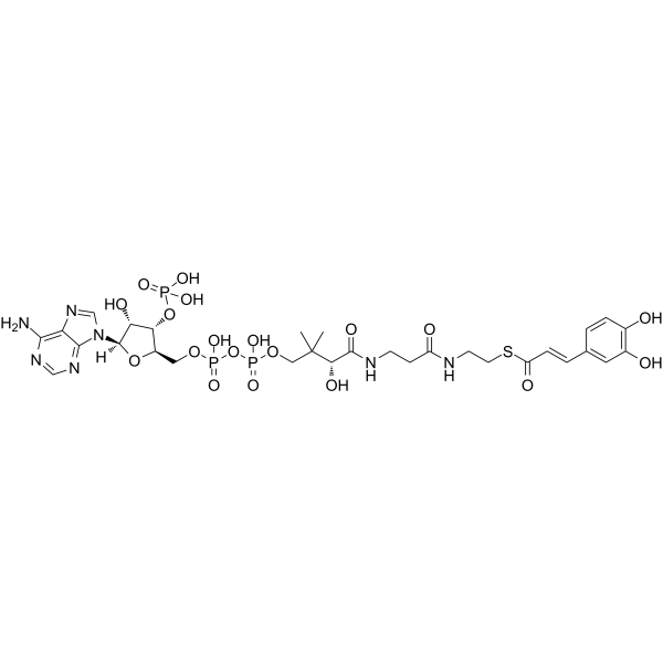 Caffeoyl-CoA Chemical Structure