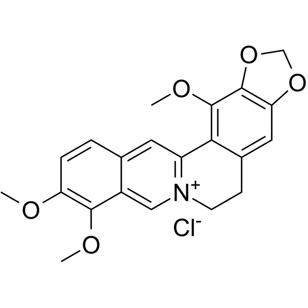 <em>1-Methoxyberberine</em> chloride
