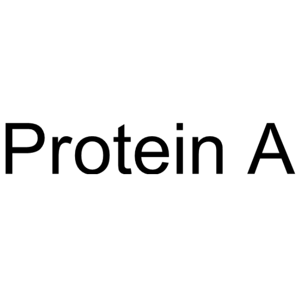 Protein A Chemical Structure