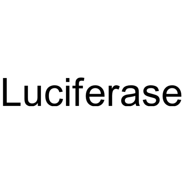 <em>Luciferase</em>