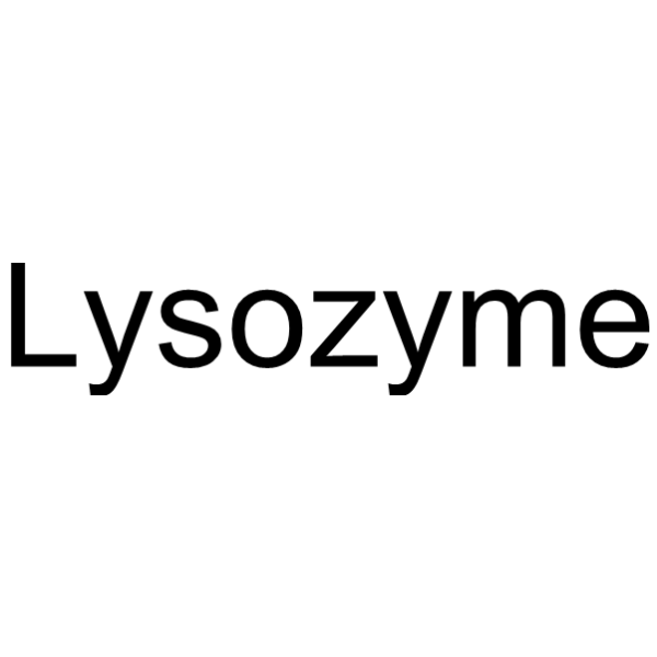 <em>Lysozyme</em>