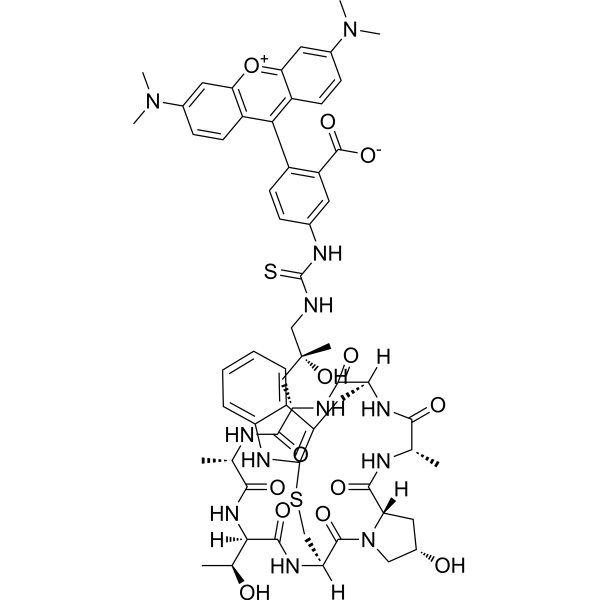 Phalloidin-TRITC Chemical Structure
