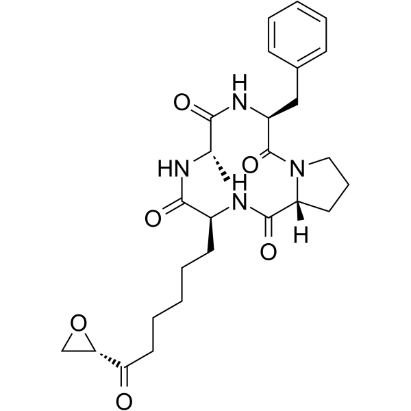 1-Alaninechlamydocin Chemical Structure