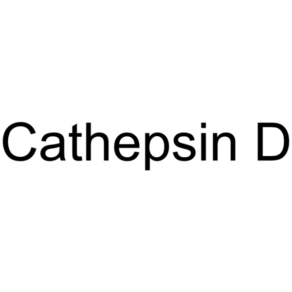 Cathepsin D Chemical Structure