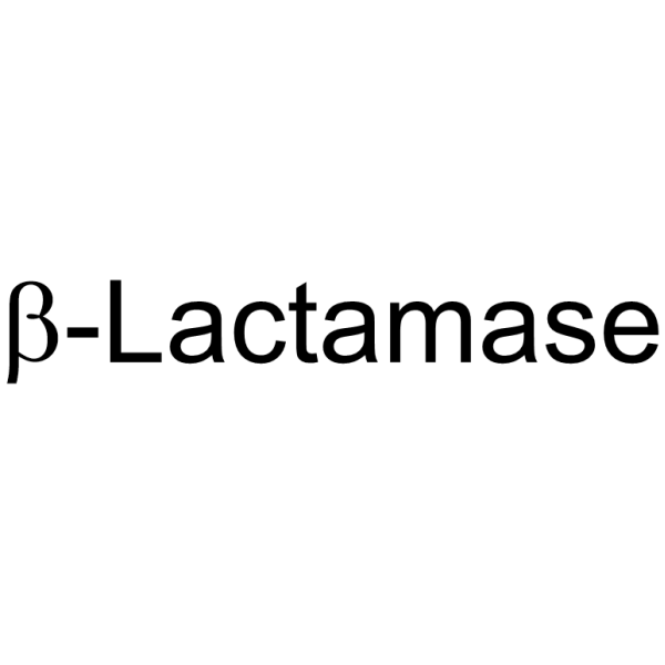 β-Lactamase