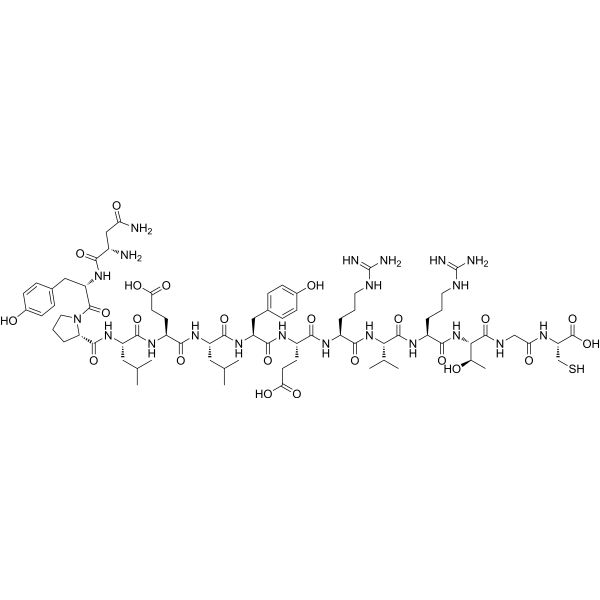 Protein Kinase C γ Peptide