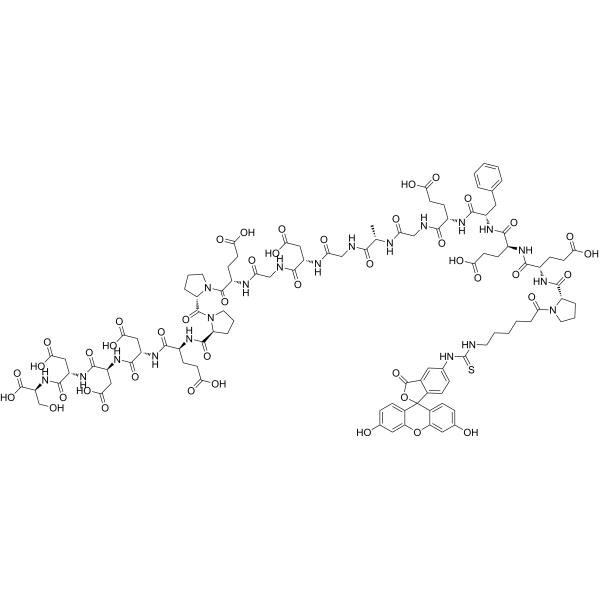 FITC-εAhx-HHV-2 Envelope Glycoprotein <em>G</em> (561-578)