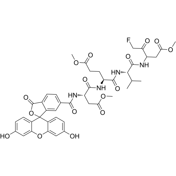 <em>Fluorescein</em>-6-carbonyl-Asp(OMe)-Glu(OMe)-Val-DL-Asp(OMe)-fluoromethylketone