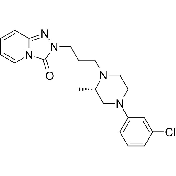 α1 adrenoceptor-MO-1