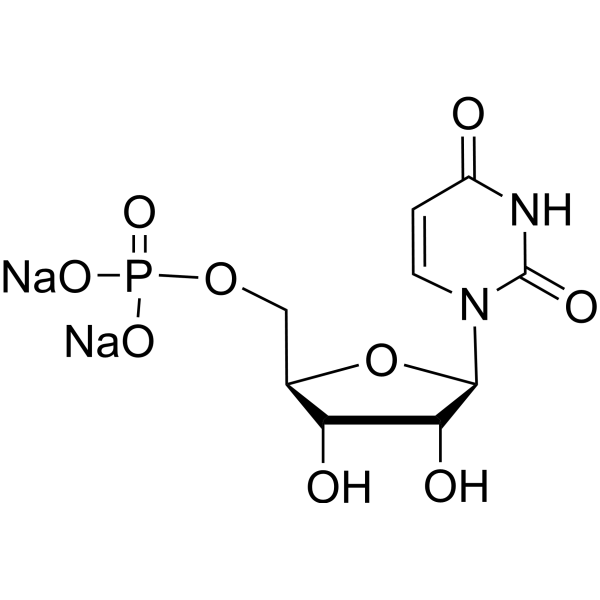 Uridine 5'-monophosphate disodium salt