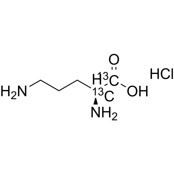 L-Ornithine-<em>1</em>,2-<em>13</em><em>C</em>2 hydrochloride