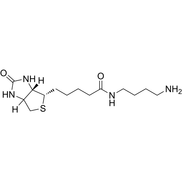 Biotin-C4-amide-C5-NH2 Chemical Structure