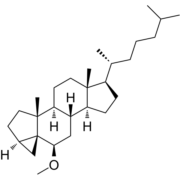 i-Cholesteryl methyl ether