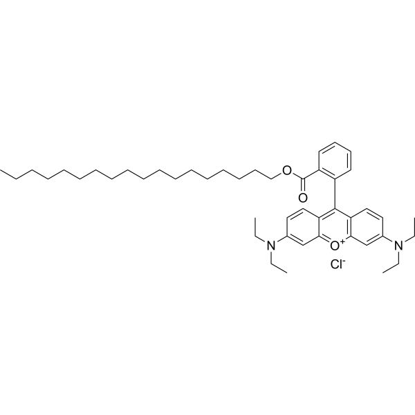 Octadecyl <em>Rhodamine</em> B chloride