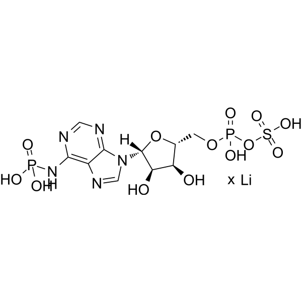 Adenosine <em>3</em>'-phosphate <em>5</em>'-phosphosulfate lithium