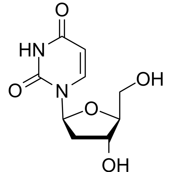 2′-Deoxy-<em>β</em>-L-uridine