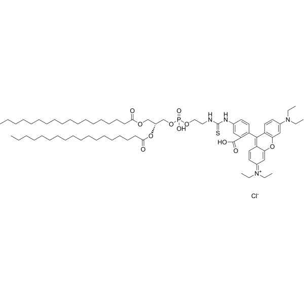 DSPE-Rhodamine Chemical Structure