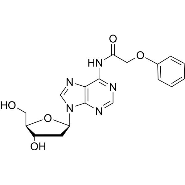 2'-Deoxy-N6-phenoxyacetyladenosine Chemical Structure