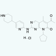 Anandamide structure