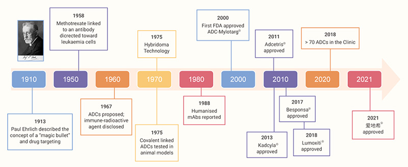Figure 1. Brief History of ADC development