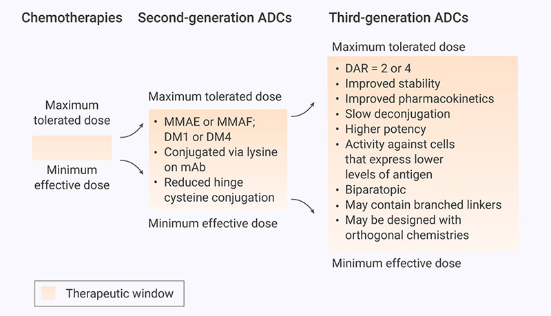 Figure 3.  Therapeutic window of ADCs 