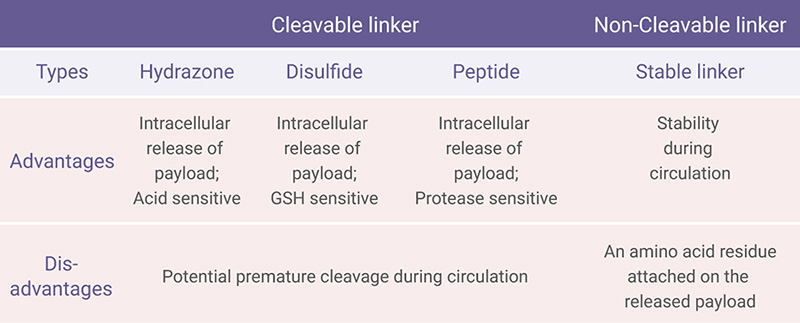 Figure 9. Cleavage of linkers