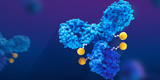 Antibody-Drug Conjugates (ADCs), a Growing Class of Targeted Cancer Therapeutics